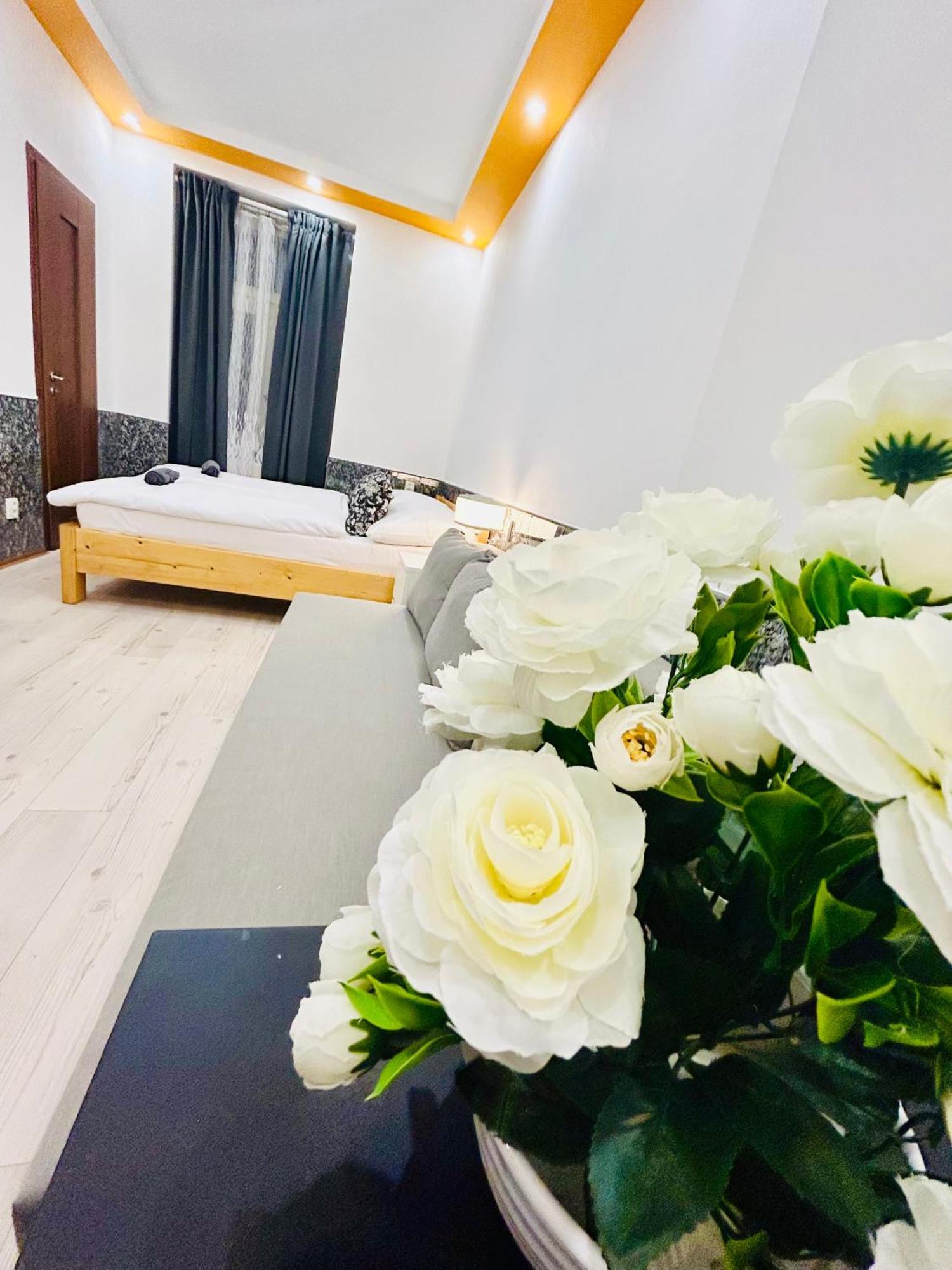 Modern Spacious Apartment In Center Πράγα Εξωτερικό φωτογραφία
